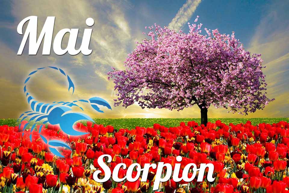 Scorpion mai 2021