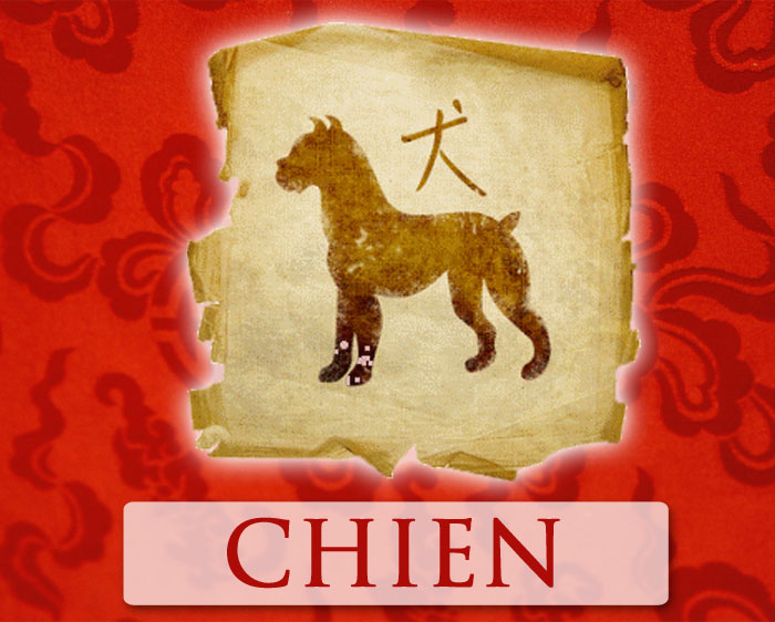 Chien