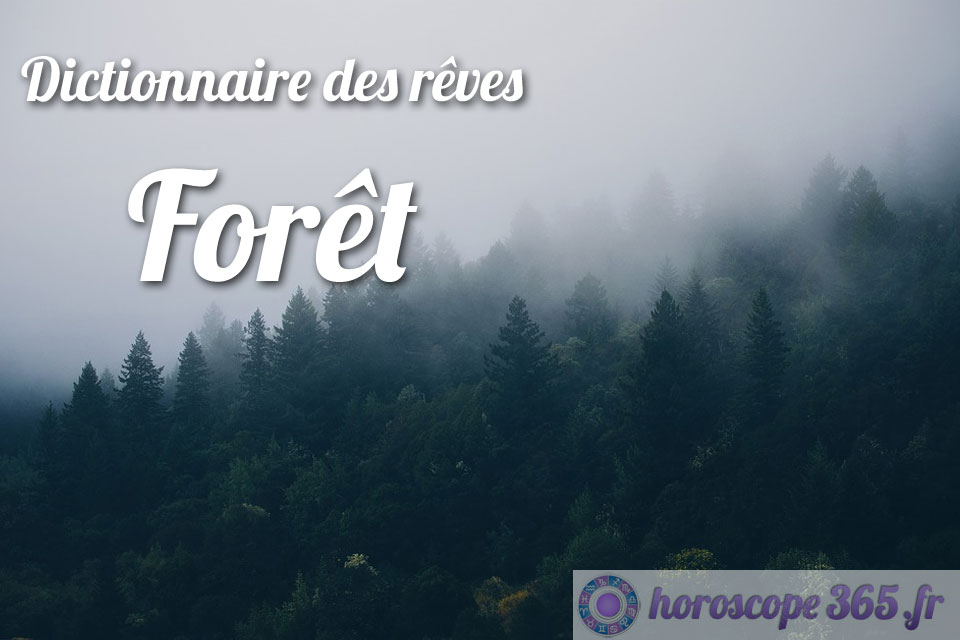 Dictionnaire des rêves : Forêt