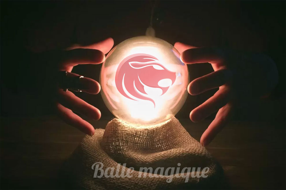 Lion - balle magique
