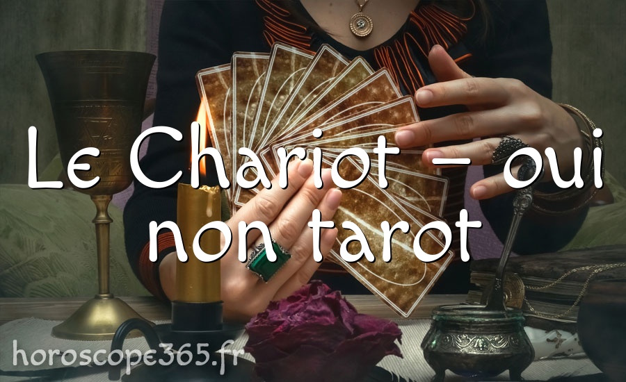 Le Chariot – oui non tarot
